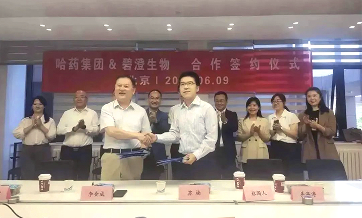 哈药携手清华大学，强强联合共创胶原蛋白行业未来